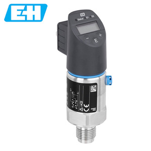 Pressostat E+H PTP31B G1/2 en laiton IP65 pour milieux aqueux - Product Image 2
