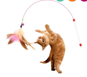 Púrpura azul retráctil divertidos juguetes para mascotas palo de madera varilla Hada interactiva teaser varita interior pollo pluma juguete para gato juego - Product Image 4