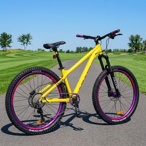 Oferta Destacada: Bicicleta de Montaña para Dirt Jump con Eje de Cassette de 120 Puntos de Contacto para Descenso en Seco, Atractivo Diseño, Cuadro Desmontable de Aluminio ALD-AM100, Fácil Personalización - Product Image 4
