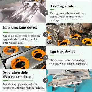 Tuorlo d'uovo automatico e proteine Auto in acciaio inossidabile Cracking Cracker macellatore macchina per viole - Product Image 4