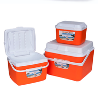 Nouveau Lot de Glacières Congélateurs d'Usine 5L 13L 26L pour Camping – Promotion Choc