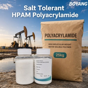 Poliacrilamida HPAM Resistente a la Sal, <span class=keywords><strong>Floculante</strong></span> en Polvo para Inyección de Agua en Reservorios de Alta Salinidad - Product Image 1