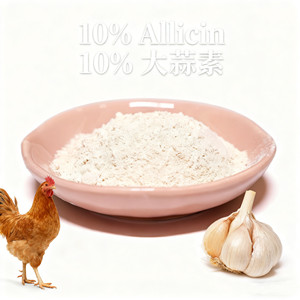 Poudre d'allicine de qualité alimentaire 25 %, extrait naturel d'<span class=keywords><strong>ail</strong></span>, additif améliorant la production d'œufs, promoteur de croissance - Product Image 2