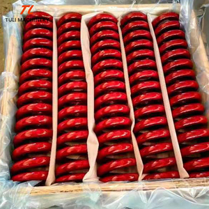 สปริงอัดแรงสูงสำหรับรถขุด อุปกรณ์เสริมเครื่องจักรวิศวกรรม - Product Image 2