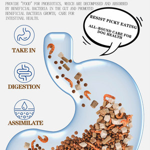 चीन थोक ब्रांड कुत्ते के शीर्ष नस्ल पालतू भोजन ओएम सूखे कुत्ते भोजन 5 किलो - Product Image 2
