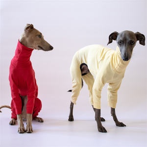 Qiqu fournitures pour animaux de compagnie personnalisé nouveau concepteur italien <span class=keywords><strong>lévrier</strong></span> combinaison ensemble chemise coton pour grands chiens Doberman tenues <span class=keywords><strong>galgo</strong></span> iggy - Product Image 6