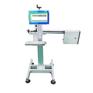 TIJ fecha de caducidad lote número Código en línea impresora de inyección de tinta automática máquina de codificación de inyección de tinta