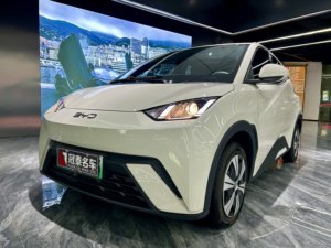 Autos Eléctricos BYD Seagull 2024, Versión EV Flying, Vehículos de Nueva Energía, Autos BYD Seagull, Vehículos Usados Baratos para Adultos - Product Image 2