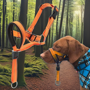 Correa de perro de nailon reflectante ajustable, <span class=keywords><strong>Collar</strong></span> acolchado de neopreno para mascotas, cabeza de perro de liberación rápida de cuero, accesorio para cuello Halter - Product Image 1