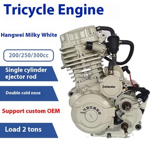 Motor de Triciclo de 200cc Refrigerado por Agua, Modelo de Motocicleta de Alto Estándar con Arranque a Patada, Opción de 4 Tiempos, Nuevo, CDI Defend 200 Water - Product Image 4