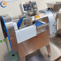 Industriële machine voor het snijden en in blokjes zagen van fruit en groenten, aardappel- en uienmachine