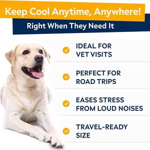 Hızlı kargo tüm ırklar için bağışıklık sağlık ve rahatlama köpek sakinleştirici Chews Pet takviyesi destekler - Product Image 3