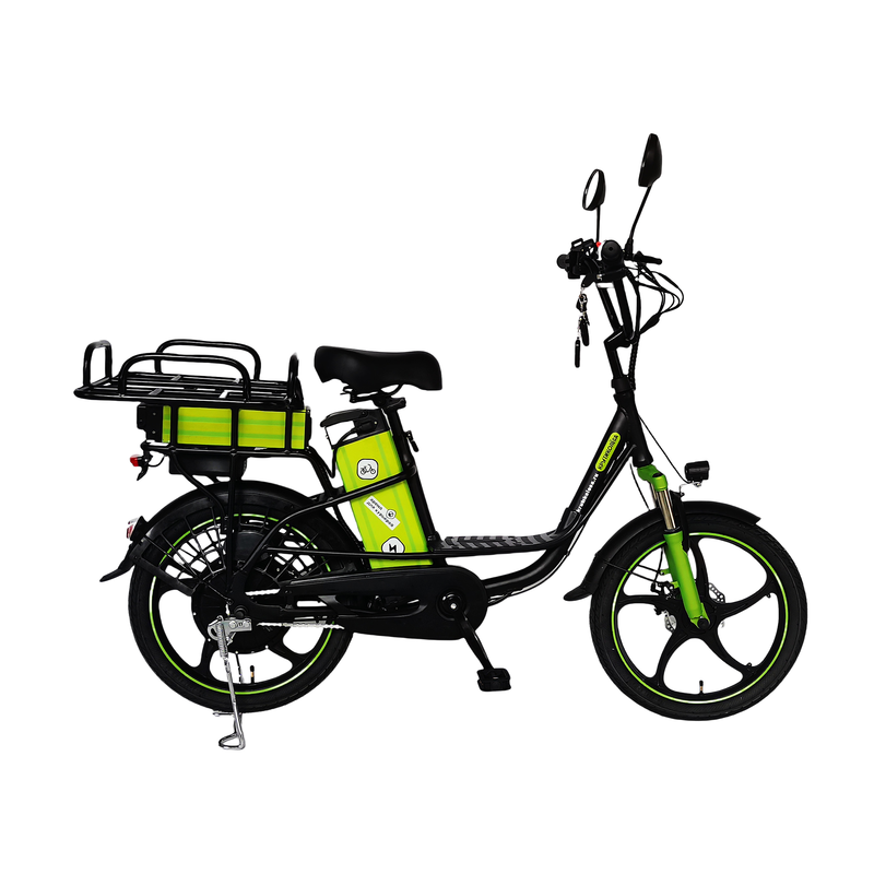 Cheapest Fast Speed Fat Tire Electric