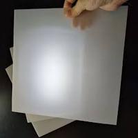 PC givré PS acrylique PMMA diffuseur feuille de cheminée/panneau/plaque pour lumière Led