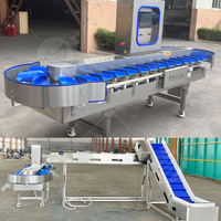 ORME Machine voor het sorteren van hele kippen, machine voor het sorteren van gedroogde ansjovis, machine voor het sorteren van papaja's voor fruit