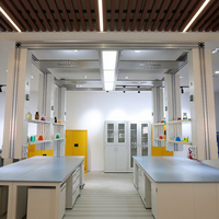 Banc de laboratoire moderne en acier pour écoles et hôpitaux avec plan de travail en céramique - Conception facile à nettoyer
