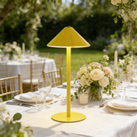 Lampe de table nordique LED rechargeable créative pour salon, chambre, petite décoration de mariage, restaurant, petit bureau, veilleuse