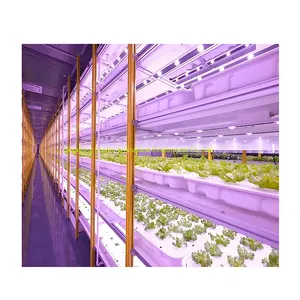 Conteneur d'expédition Ferme conteneur ferme serre Usine de plantes avec culture hydroponique verticale LED élèvent la lumière