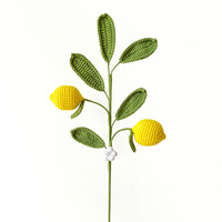 2026 Op maat gemaakte gebreide multi-head fruit haakbloemen katoenen garen patches citroen gardenia bosbes gardenia bosbes haakwerk
