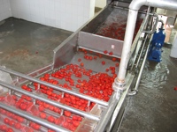 Geconcentreerde tomatenpuree productielijn 304 roestvrij staal automatische machine met hoge capaciteit