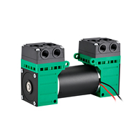 PENGPU GL6BL-2 Pompe à vide mini à double tête à diaphragme EPDM, moteur à courant continu 12V 24V, très vendue pour usage automobile