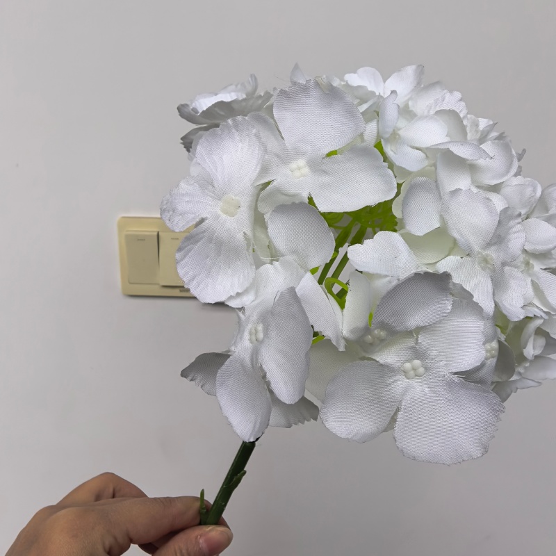 Bianco-3
