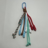 Lanières arc-en-ciel tressées en nylon imprimées à l'écran, écologiques et personnalisées, faites à la main pour femmes, avec crochet pour téléphone portable et porte-clés