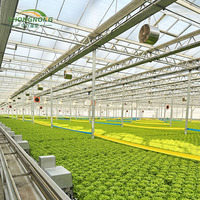 Cultivation hydroponique de laitue agricole, film plastique/verre/polycarbonate de grande serre à double travée résistant aux UV
