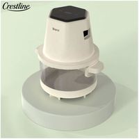 Vente flash : Mini four à air chaud électronique 2L avec fenêtre en verre, personnalisable, électrique, pour frites, en plastique, pour usage domestique