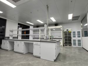 실험실 가구 화학 아일랜드 작업대 시약 선반 포함 실험실 벤치 액세서리 - Product Image 6