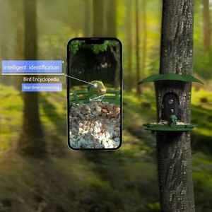 Nourrisseur d'oiseaux AI solaire Elecpat, avec reconnaissance AI, vidéo en direct en HD 1296P et reconnaissance automatique des - Product Image 5