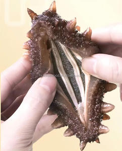 Pepino de Mar Seco Premium para Cocinar, Alto en Proteínas y Colágeno Natural - Product Image 6