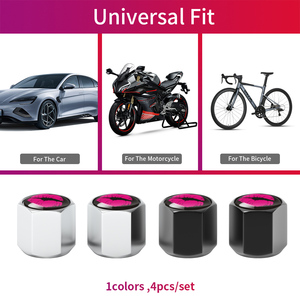 Bouchons de tige de Valve de pneu solide de haute qualité avec ensemble de porte-clés Logo personnalisable nouvel état pour les voitures - Product Image 2