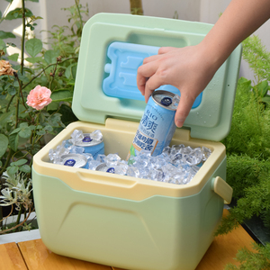 For FUN 5.5 Modern Green Insulated Cooler Box 5.5L 24-hour Ice Retention Portable Thermal <b>Container</b> for Picnic Outdoor Use - Product Image 3