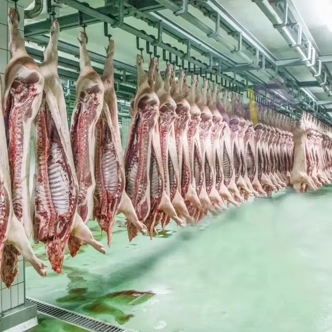 آلة عملية سلخ الخنازير جاهزة للشحن مخصصة لمعدات المسالك ومصانع مزروعة