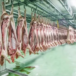 Mezbaha ekipmanları için anahtar teslimi Projecct domuz kesim makinesi Sow Abattoir bitki