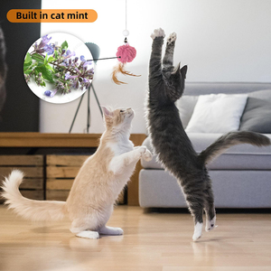 Yun, juguete automático ajustable para gatos de interior, gran oferta, Bola de felpa mecánica, plumas, movimiento interactivo eléctrico, juguete para mascotas, ruido - Product Image 6