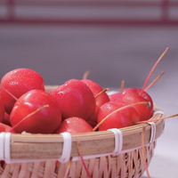 Fabrieksoutlet Bulk FD Baleng-Haitang Knapperige Niet-gefrituurde Zonder Toevoegingen Gebakken Gedroogde Fruitkorrels Vriesgedroogd Zoet Kant-en-klaar