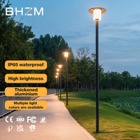 Lámparas de Jardín Profesionales de Alta Potencia con un Solo Faro, Resistentes al Agua IP65, Fuente SMD, Material de Aluminio, 30W LED, para Exteriores