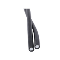 Cable de Aluminio Trenzado con Aislamiento XLPE, Cable de Alimentación Aéreo de Bajo Voltaje 2*25mm2