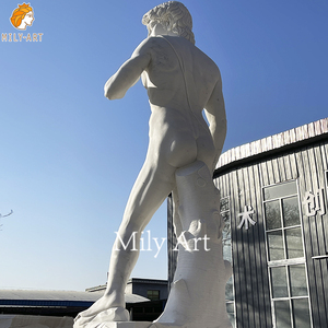 <span class=keywords><strong>Statua</strong></span> di marmo bianco a grandezza naturale intagliata all'aperto degli ornamenti della scultura di <span class=keywords><strong>David</strong></span> per <span class=keywords><strong>il</strong></span> giardino e la Villa - Product Image 2