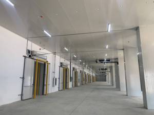 ผักแช่แข็งด้วยข้าวโพดแครอทถั่วตัดถั่วสำหรับ feezer อย่างรวดเร็ว - Product Image 5