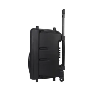 Beste 15 Inch Draagbare Draadloze Trolley Speaker Box Met Usb/Gitaar Volume