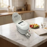 Compteur d'eau intelligent IoT en acier inoxydable à ultrasons avec vanne intégrée, prépayé à distance, M-Bus RS485 sans fil, haute précision pour eau purifiée