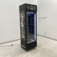 Congélateur vertical commercial, vitrine de magasin, réfrigérateur pour boissons et bières, présentoir réfrigéré