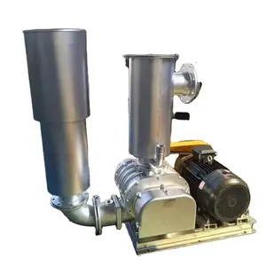 Roots Blower Vacuum Pump High Performance Blowers Product