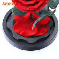 AM-PFA02 Petite fleur rouge préservée sous cloche en verre éternelle pour la fête des mères, Pâques, décoration murale, Saint-Valentin, Nouvel An