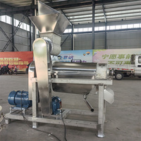 Grote fruitpers voor aardbeien, druiven en moerbeien, fruit- en groente droog-nat scheider, sapcentrifuge voor mango's