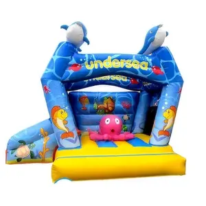 cheap small inflatable bouncy house with slide combo, seaword inflatable castle for sale