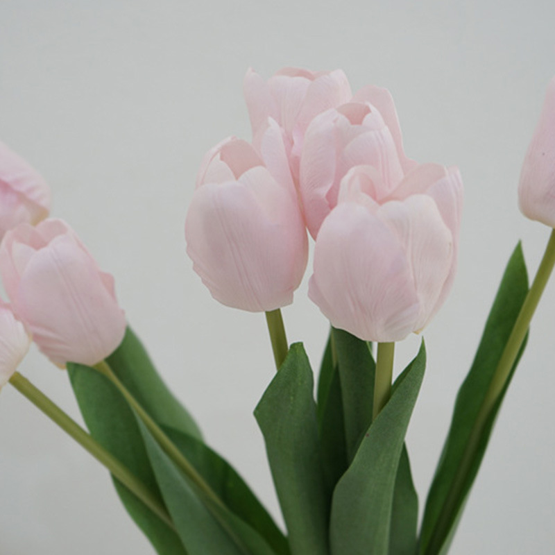 Rafite tulipano-rosa chiaro